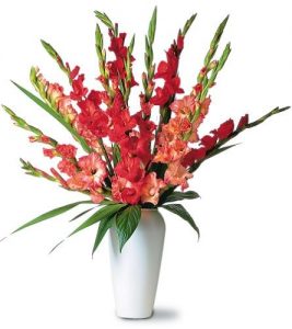 Cách cắm hoa lay ơn để bàn thờ